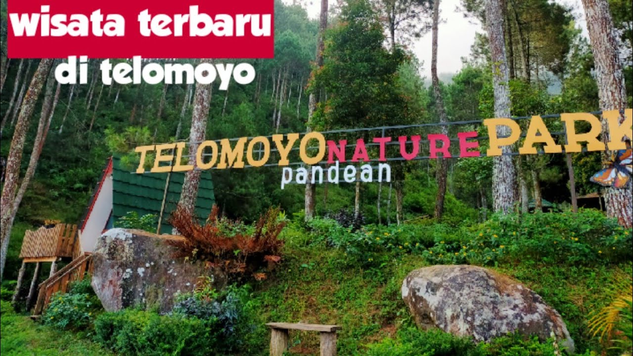 Telomoyo Nature Park: Surga Alam yang Menakjubkan di Lereng Gunung